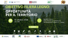 Filiera foresta-legno
